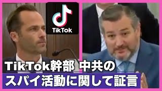 〈字幕版〉TikTok幹部 中共のスパイ活動に関して証言