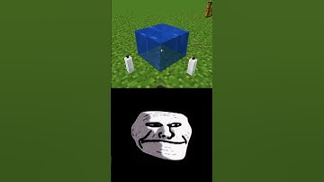 Minecraft logic troll face 🤣 #shorts #minecraft #viral