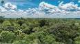 Amazon Yağmur Ormanlarının Biyolojik Çeşitliliği ile ilgili video