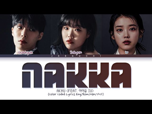 AKMU, IU NAKKA Lyrics  (악동뮤지션 아이유 낙하 가사) (Color Coded Lyrics) class=