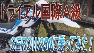 セロー250　インプレッション　2018　トライアル　林道　オフロードバイク　XT250　yamaha