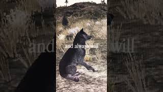 Idk #wolves #edit #wolfquest