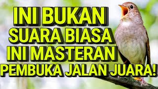 Download Lagu Masteran Burung Universal Tanpa Batas – Suara Isian Gacor Sepanjang Masa! #sikatanlondo #muraibatu MP3 Download Lagu Masteran Burung Universal Tanpa Batas – Suara Isian Gacor Sepanjang Masa! #sikatanlondo #muraibatu MP3