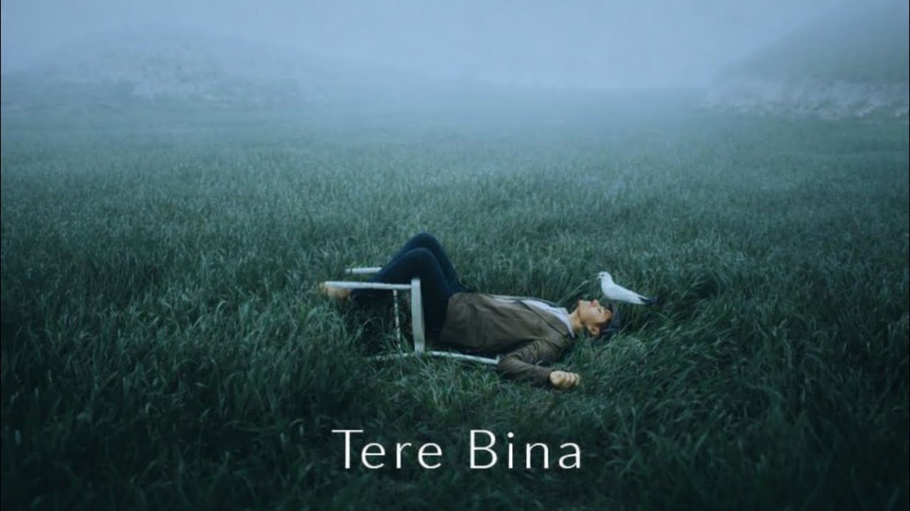 Tere Bin – Heartbreaking Love Song ❤️‍🔥 | Sad Hindi Song | Lofi Mix 2026 | Delhi Special