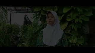 Review Novel Pulang Pergi: Kisah Aksi, Persahabatan, dan Pengkhianatan