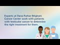 Signs and Symptoms of Testicular Cancer | Dana-Farber Cancer Institute