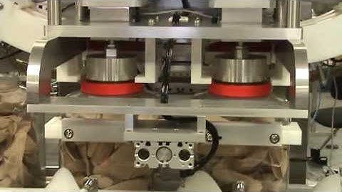 Dual Automatic Vertical Placer Capping Machine