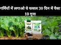 Garmiyon mein palak lagakar 30 din mein 10x profit|palak ki kheti ki sampurn jankari|