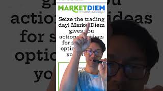 Market diem review investor s business daily is affordable for beginners