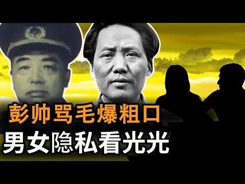 共黨開國元帥彭德懷廬山會議上批評毛澤東大躍進亂來，甚至粗口懟毛，曝出了延安整風一段不堪的往事 【欺世大觀】177