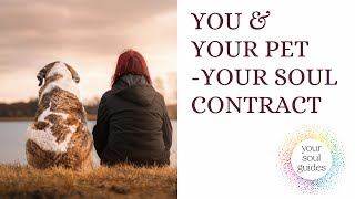 YOU, YOUR PET, AND THE INCREDIBLE SOUL CONTRACT THAT YOU SHARE