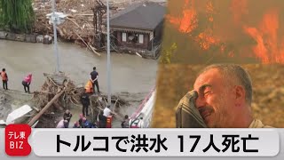 トルコ北部で洪水相次ぎ17人死亡　「100年の間経験したことのない災害」（2021年8月13日）