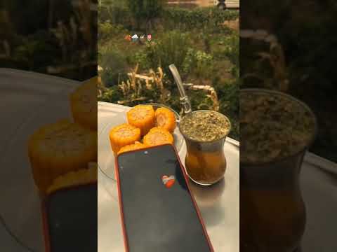 كاسة متة خير من الف جليس وأما بالنسبة للمتة فلم أجد وصفا يليق بها إلا انها رفيقة يومي ودربي