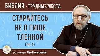 Старайтесь не о пище тленной (Иоанн 6) Протоиерей Лев Большаков. Толкование Нового Завета. Библия