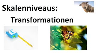 Skalenniveaus: Transformationen