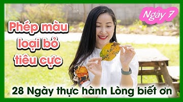 Day 7 - Phép màu loại bỏ tiêu cực - 28 ngày thực hành lòng biết ơn