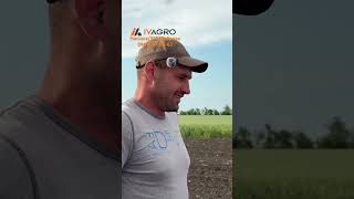 #агробізнес #агротехнологии #насіння #agro #агро
