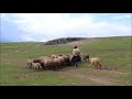 one of the most beautiful place #travel #adventure #adventures #lovelyplace #viralvideo