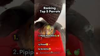 Ranking Top 5 Parrots🦜🍏🍐🍎🎋 #ranked #parrot #cute