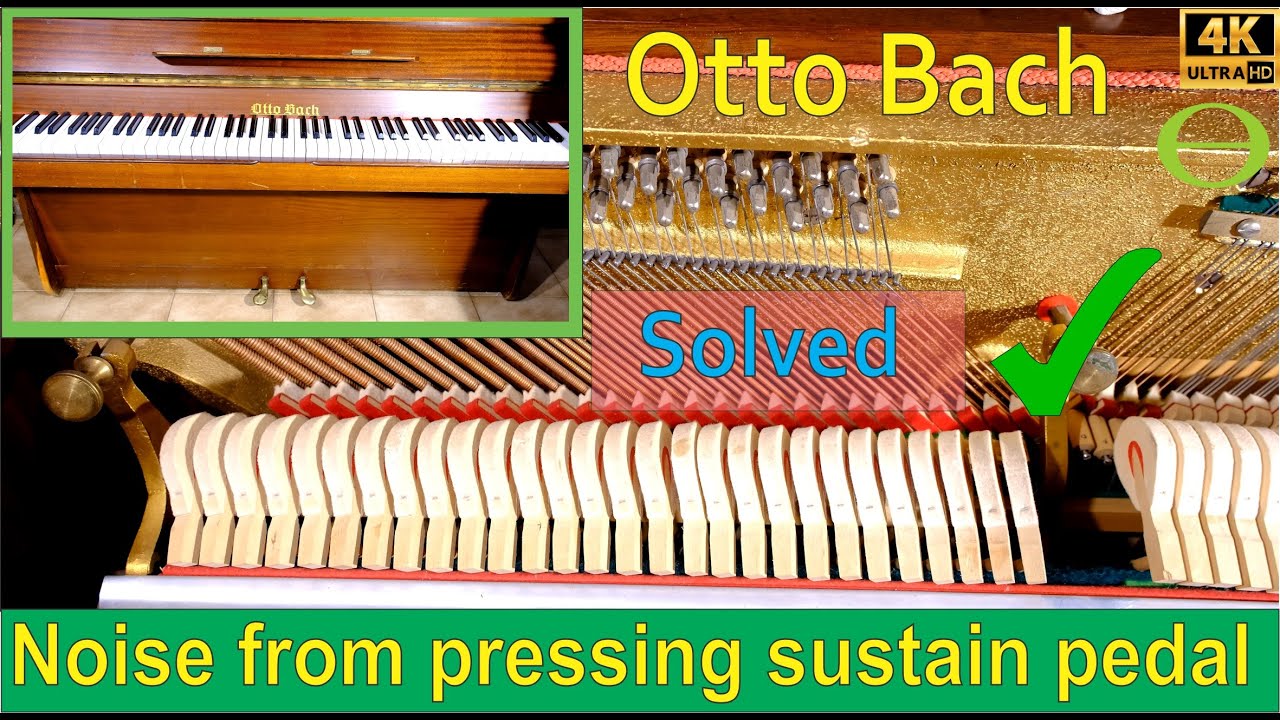 Scratching noise from pressing sustain pedal on an Otto Bach piano