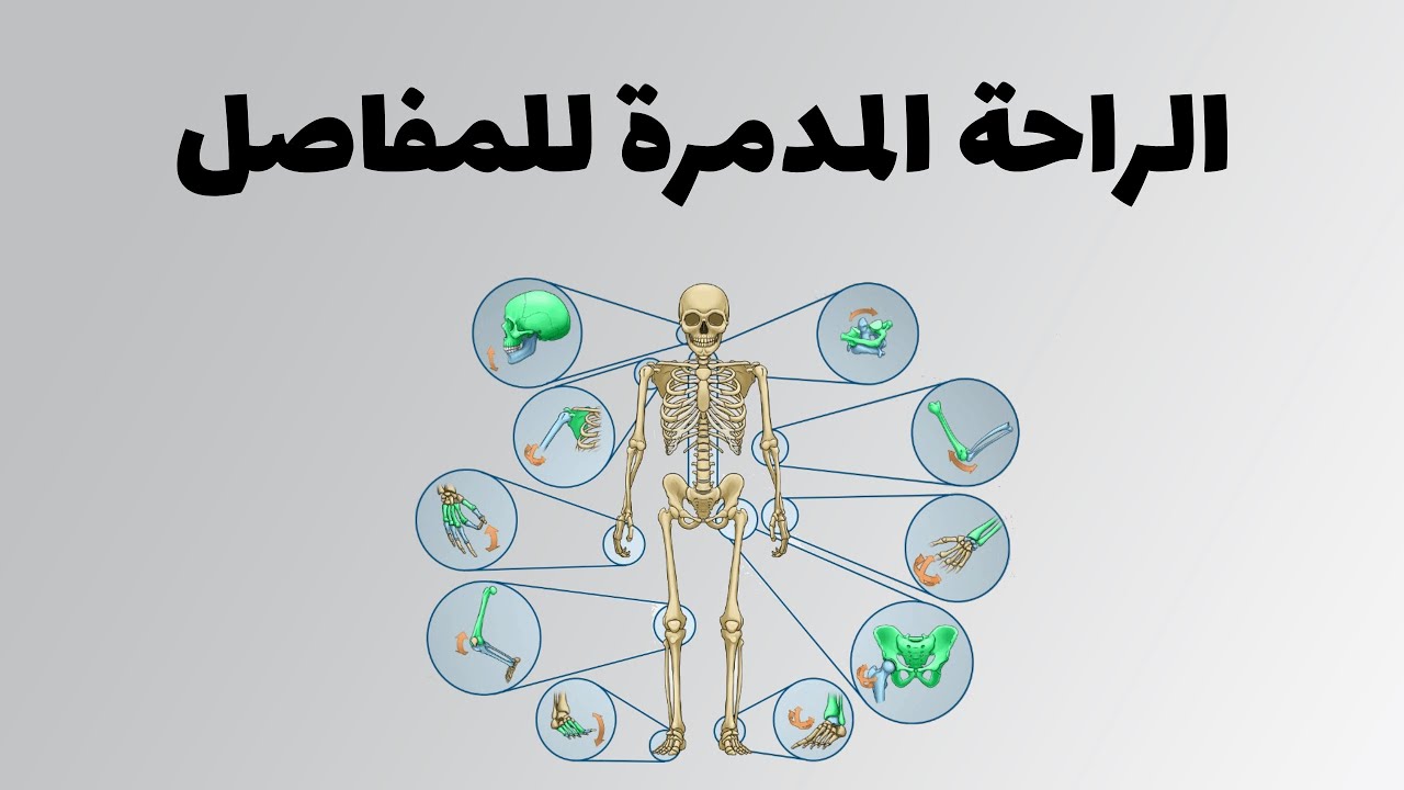الراحة القاتلة - نرتاح إلا نطلع نمشي و نعمل رياضة؟  فيديو لأصحاب العقل و المنطق