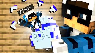 HO COMPRATO 5 NUOVE MOD STUPIDE DI MINECRAFT - ITA