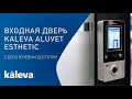 Входные двери в коттедж Kaleva Aluvet Esthetic