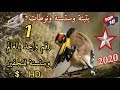 بتبتة وستستة ونوطات حسونك يكسر القفص🔥💯/💯🔥