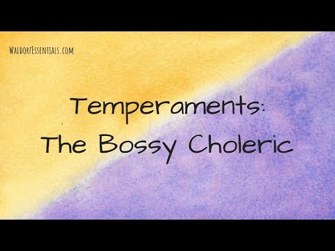 Vídeo: Com Es Porten Bé Els Cònjuges Amb Diferents Temperaments