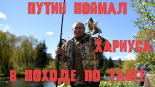 Путин и Шойгу выбрались на рыбалку в тайгу. Рыбалка и прогулки по горам в сибирской тайге.