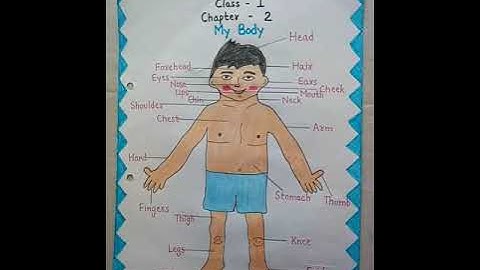 Class 1 E.V.S  Chapter - My Body (Part 2)