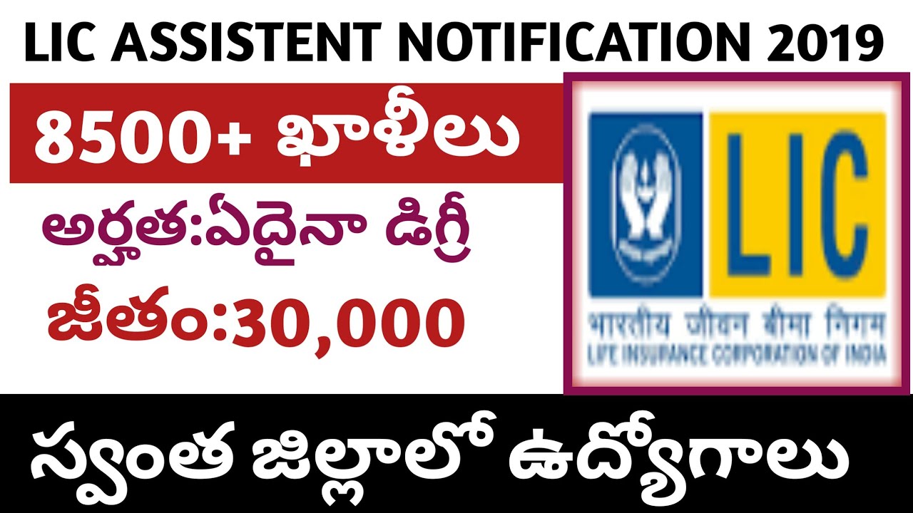 LIC లో భారీగా ఉద్యోగాలు/LIC ASSISTENT NOTIFICATION 2019/LATEST CENTRAL GOVT JOBS 2019 IN TELUGU/JOBS