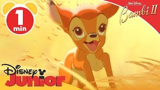 Bambi II | The Dream | Disney Junior UK