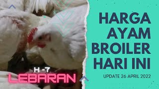 Harga Ayam Broiler Hari Ini #shorts #ayambroiler. 