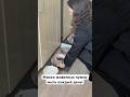 Миски животных нужно мыть ежедневно!