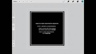 How to turn pictures negative on the Procreate App screenshot 3