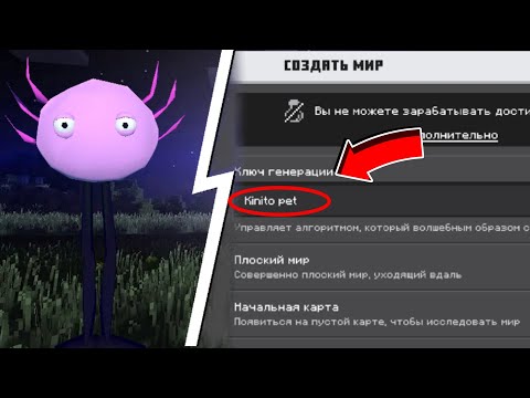 Видео: НЕКОГДА НЕ ИГРАЙ НА СИДЕ KINITO PET В МАЙНКРАФТ ! MINECRAFT #KINITOPET #КИНИТОПЕТ