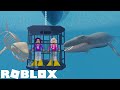 It's the WEEK of SHARKS on SHARKBITE! 🦈🦈 / Roblox