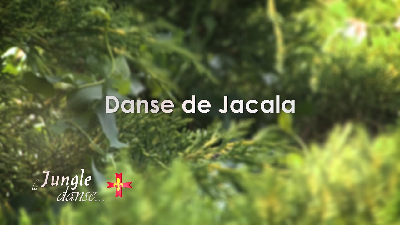 La Jungle Danse - Danse de Jacala
