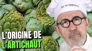 Pourquoi Lartichaud Est Si Populaire ? 