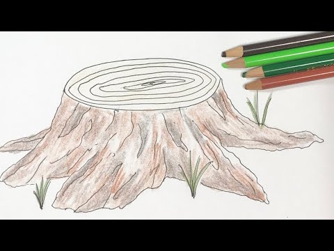 切り株 の描き方 色鉛筆とペンの簡単イラスト Wood Youtube