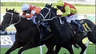 2015 Sydney Cup G1 - Grand Marshal (大統帥) - J Cassidy (43倍) - 多名利以第六名過終點