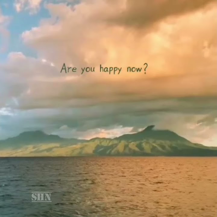 Story' wa 30 detik || story wa lagu barat keren || happy now