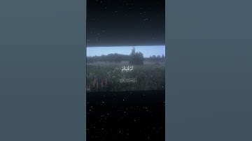 سورة الروم|40|القارئ:#ياسر_الدوسري #قران #quran #راحة_نفسية #قران_كريم #تلاوة_هادئة #آية#تلاوة_خاشعة