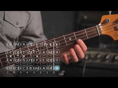 how-to-play-a-d-major-scale-|-bass-guitar