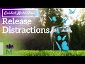 Calm Your Distracted or Overthinking Mind /12 minute Mindfulness Meditation