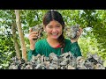 Talaba Catch Cook KaMangyanVlogs 