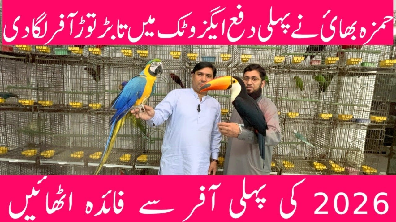 Hamza Bhai Exotic Ki Aise Variety Le Aye Jo Trending Me Chal Raha Hai | Video Se Faida Uthayen Lazmi