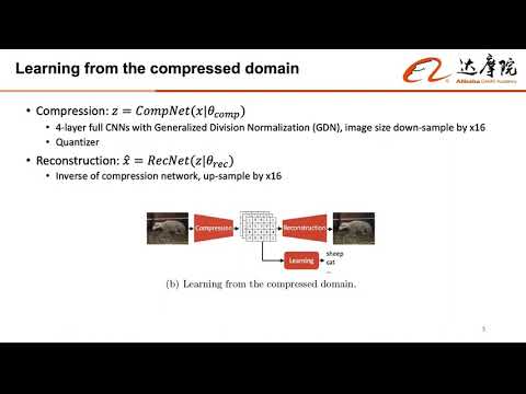 Learning from the CNN-based Compressed Domain