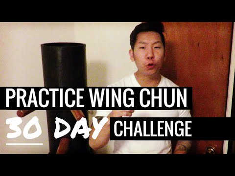 Practice Wing Chun #040 - Do You Practice Wing Chun Everyday? Here's My Challenge! - YouTube